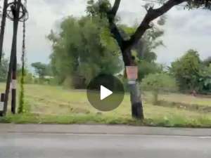 Dijual tanah nol jalan raya Pasuruan untuk industri, pabrik, gudang lokasi di Pasuruan Kab., tersedia melalui melalui situs Olx