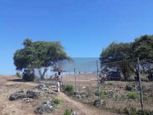 Dijual Tanah Nusa Dua 31,56 Are lokasi di Kab. Badung, tersedia melalui melalui situs Olx