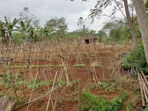 Dijual Tanah Padat Cocok buat Villa Gambung Ciwidey lokasi di Bandung Kab., tersedia melalui melalui situs Olx