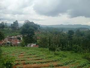 Dijual Tanah Padat Cocok Buat villa, pertanian Ciwidey Tenjolaya lokasi di Bandung Kab., tersedia melalui melalui situs Olx