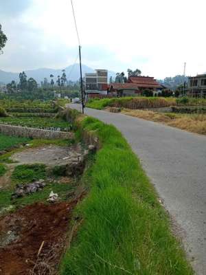 Dijual Tanah Padat Di Desa Wisata Ciwidey lokasi di Bandung Kab., tersedia melalui melalui situs Olx