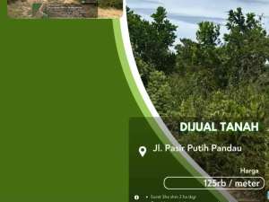 Dijual Tanah Pasir Putih Pekanbaru Kota lokasi di Pekanbaru Kota, tersedia melalui melalui situs Olx