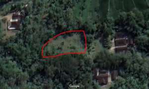 Dijual Tanah Pekarangan 2.692 m2 DatarSubur Cocok KebunPeternakan lokasi di Gunung Kidul Kab., tersedia melalui melalui situs Olx