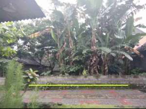 Dijual tanah pekaranganDekat Jalan kaliurang km 12,5 dan PONPES PANDANARAN Sardonoharjo, Ngaglik, Sleman lokasi di Sleman Kab., tersedia melalui melalui situs Olx