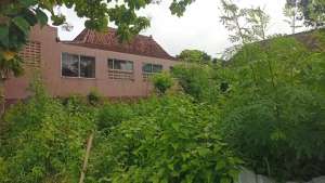 Dijual Tanah Pekarangan SHM Dekat Kantor Damkar Prambanan lokasi di Sleman Kab., tersedia melalui melalui situs Olx