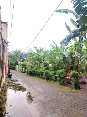 Dijual Tanah Pekarangan Strategis di Plemburan dekat Jalan Kaliurang lokasi di Sleman Kab., tersedia melalui melalui situs Olx