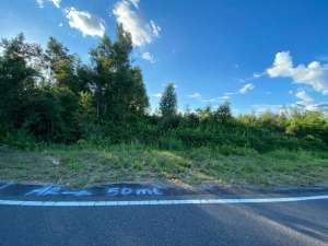 Dijual tanah perkebunan di Jl. lintas Palangkaraya Kalimantan Tengah lokasi di Palangkaraya Kota, tersedia melalui melalui situs Olx