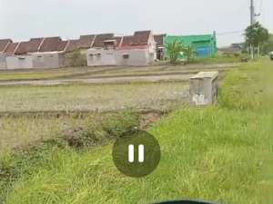 Dijual tanah pertaniansawahaktif Bareng, Jombang lokasi di Jombang  Kab., tersedia melalui melalui situs Olx