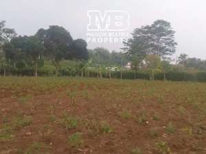 DIJUAL TANAH PINGGIR JALAN COCOK UNTUK MINI CLUSTERTOWNHOUSE DLL DI CISEENG, KAB. BOGOR - JAWA BARAT lokasi di Bogor Kab., tersedia melalui melalui situs Olx