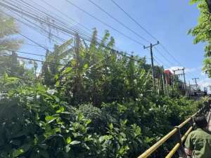 DIJUAL TANAH PREMIUM PINGGIR JALAN SUNSET ROAD lokasi di Kab. Badung, tersedia melalui melalui situs Olx