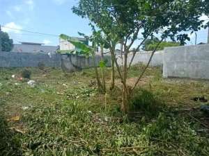 DIJUAL TANAH PREPEDAN DALAM KALIDERES JAKARTA BARAT RON.A1772 lokasi di Jakarta Barat, tersedia melalui melalui situs Olx