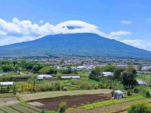 Dijual Tanah Prestisius Strategis Poros Jalan METRO BATU Malang lokasi di Batu Kota, tersedia melalui melalui situs Olx