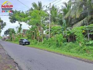 Dijual Tanah Produktif 500 Meter dari Jl. Utama Dadapan - Bwi lokasi di Banyuwangi  Kab., tersedia melalui melalui situs Olx