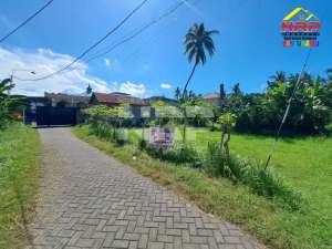 Dijual Tanah Prospek di Depan Ponpes Ternama di Ketapang - Banyuwangi lokasi di Banyuwangi  Kab., tersedia melalui melalui situs Olx