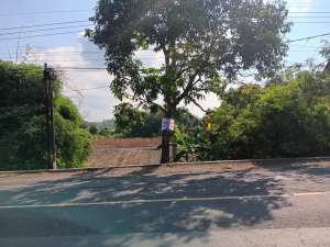 DIJUAL Tanah Raya Domas Dkt Menganti Gresik Kedamean lokasi di Gresik Kab., tersedia melalui melalui situs Olx