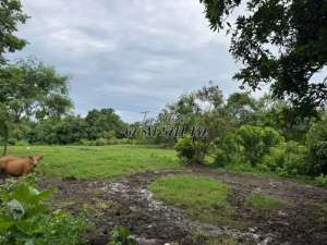 Dijual Tanah Raya Pantai Nyanyi Zona Pariwisata Tabanan - LSADT lokasi di Kab. Badung, tersedia melalui melalui situs Olx