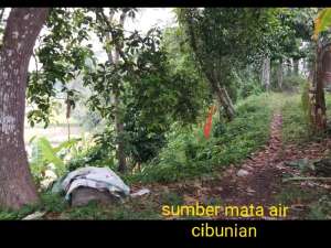 diJual tanah rumah dan mataair kolam ikan di singaparna tasikmalaya lokasi di Tasikmalaya Kab., tersedia melalui melalui situs Olx