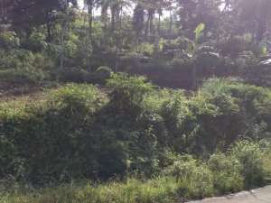 Dijual Tanah satu hamparan di leuwiliang kawalu tasikmalaya lokasi di Tasikmalaya Kota, tersedia melalui melalui situs Olx