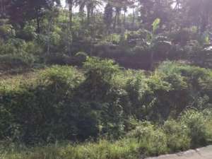 Dijual Tanah satu hamparan di leuwiliang kecamatan kawalu tasikmalaya lokasi di Tasikmalaya Kota, tersedia melalui melalui situs Olx