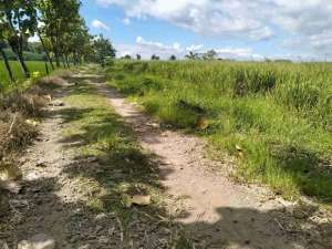 Dijual Tanah Sawah Dekat Jalan Aspal Utama Pilangrejo Wungu Kabupaten Madiun lokasi di Madiun Kota, tersedia melalui melalui situs Olx