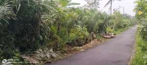 Dijual Tanah Sawah Di Pasar Ikan Garongan Wonokerto Turi Sleman lokasi di Sleman Kab., tersedia melalui melalui situs Olx