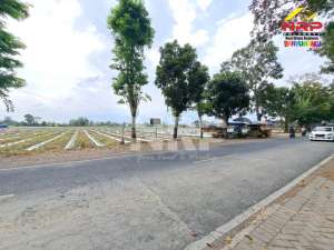 Dijual Tanah Sawah di Tepi Jl. Jember - Banyuwangi lokasi di Banyuwangi  Kab., tersedia melalui melalui situs Olx