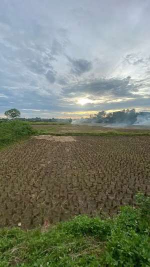 DIJUAL TANAH SAWAH PADAT DI LEGOK TANGERANG lokasi di Tangerang Kab., tersedia melalui melalui situs Olx