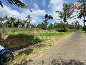 Dijual Tanah Sawah Prospek Sangat Murah dekan Ijen Resort lokasi di Banyuwangi  Kab., tersedia melalui melalui situs Olx