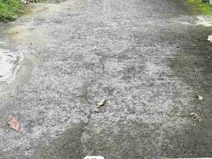 Dijual tanah sawah zona kuning pinggir jakal km 19 sleman Yogyakarta lokasi di Sleman Kab., tersedia melalui melalui situs Olx