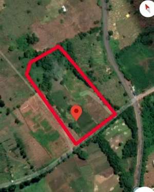 Dijual tanah seluas 5.100m2, berlokasi di Bilaya Pattalasang,Gowa lokasi di Gowa Kab., tersedia melalui melalui situs Olx