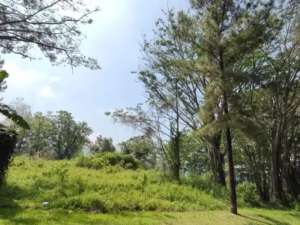 Dijual Tanah Sentul Cluster LT 1597 m2 Jual mMurah Sentul Bogor lokasi di Bogor Kab., tersedia melalui melalui situs Olx