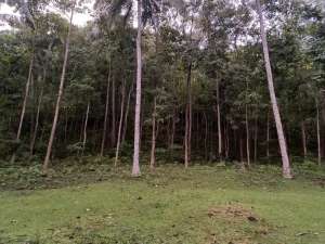 Dijual Tanah Setangi Lokasi Strategis Cocok Untuk Villa Di Lombok Utara lokasi di Lombok Utara Kab., tersedia melalui melalui situs Olx