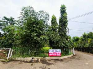 Dijual Tanah SHM 691 m di Jl. Siliwangi, Cijujung, BogorStrategis lokasi di Bogor Kab., tersedia melalui melalui situs Olx