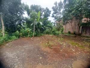 Dijual Tanah SHM Cocok Untuk Tempat Tinggal Di Dusun Kauman Boja Kendal lokasi di Kendal Kab., tersedia melalui melalui situs Olx