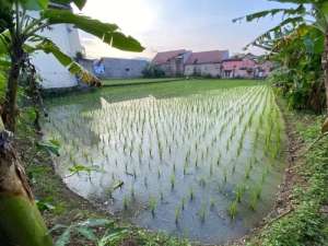 Dijual Tanah SHM di Waas Cianjur Jawa Barat lokasi di Cianjur Kab., tersedia melalui melalui situs Olx