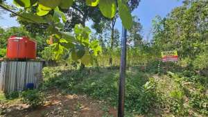 Dijual tanah shm di wonoplumbon mijen depan perumahan adinata raya lokasi di Semarang Kota, tersedia melalui melalui situs Olx