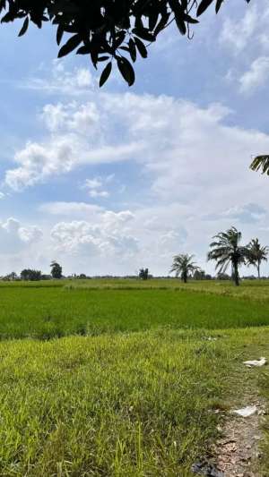 Dijual Tanah SHM - Lokasi Strategis Dekat Bandara Kualanamu lokasi di Deli Serdang Kab., tersedia melalui melalui situs Olx