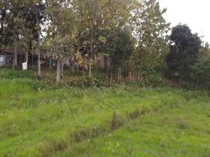 DIJUAL TANAH SHM SIMBARINGIN MOJOKERTO lokasi di Mojokerto Kab., tersedia melalui melalui situs Olx