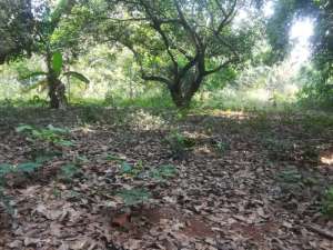 Dijual Tanah Siap Bangun di Purwakarta lokasi di Karawang Kab., tersedia melalui melalui situs Olx