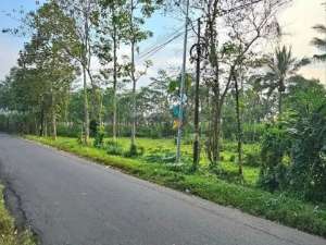 Dijual Tanah Siap Bangun di Gunung Jati Jabung, Singosari Kab. Malang lokasi di Malang Kab., tersedia melalui melalui situs Olx