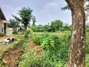 Dijual Tanah Siap Bangun jl Ciodeng Baleendah Bandung lokasi di Bandung Kab., tersedia melalui melalui situs Olx