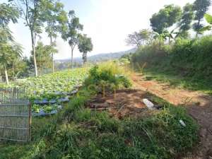 DIJUAL TANAH SINDANG WAAS, DEKAT DAGO GIRI VIEW BANDUNG lokasi di Bandung Barat Kab., tersedia melalui melalui situs Olx