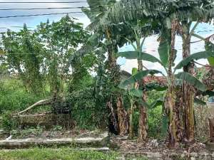 DiJual Tanah Singopuran Kartasura Solo lokasi di Sukoharjo Kab., tersedia melalui melalui situs Olx