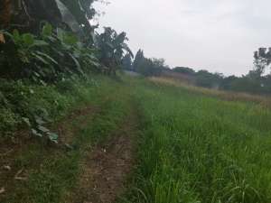 Dijual tanah situgadung pagedangan Serpong Gading serpong lokasi di Tangerang Kab., tersedia melalui melalui situs Olx