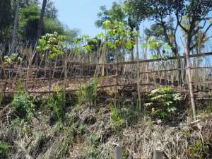 DIJUAL TANAH SOREANG, KAB BANDUNG lokasi di Bandung Kab., tersedia melalui melalui situs Olx