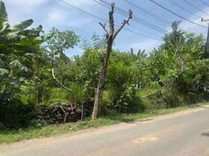 Dijual Tanah Strategis 200m2 di Jl Utama Melangkaje Kuta Selatan lokasi di Kab. Badung, tersedia melalui melalui situs Olx