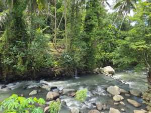 Dijual Tanah Strategis Area Villa Dan Pariwisata Penebel Tabanan Bali lokasi di Tabanan Kab., tersedia melalui melalui situs Olx