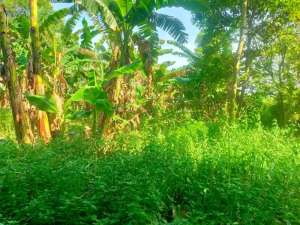 DIJUAL TANAH STRATEGISCUKANGGALIH lokasi di Tangerang Kab., tersedia melalui melalui situs Olx