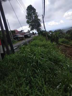 DIJUAL TANAH STRATEGIS DI JALAN UTAMA DENPASARBEDUGUL lokasi di Tabanan Kab., tersedia melalui melalui situs Olx