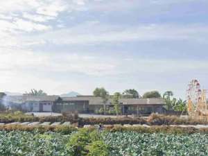 Dijual Tanah Strategis di Kawasan Wisata Mainroad Lembang lokasi di Bandung Barat Kab., tersedia melalui melalui situs Olx